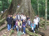 Thăm quan rừng Cúc Phương